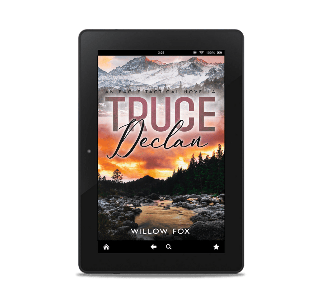 Author Willow Fox ebook Truce: Declan (eBook)